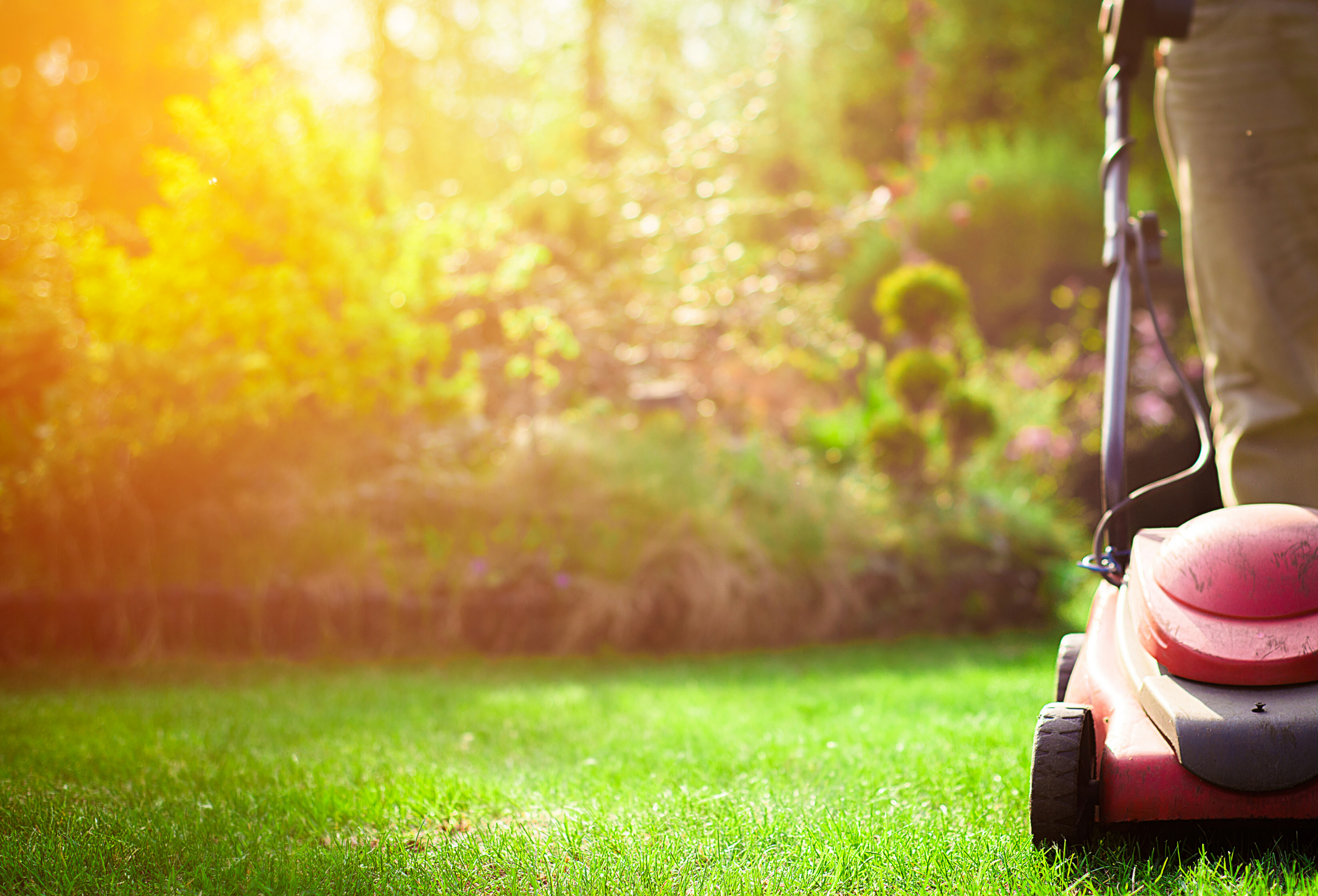 Spring is Time to Love Your Lawn | Eastbrook Homes