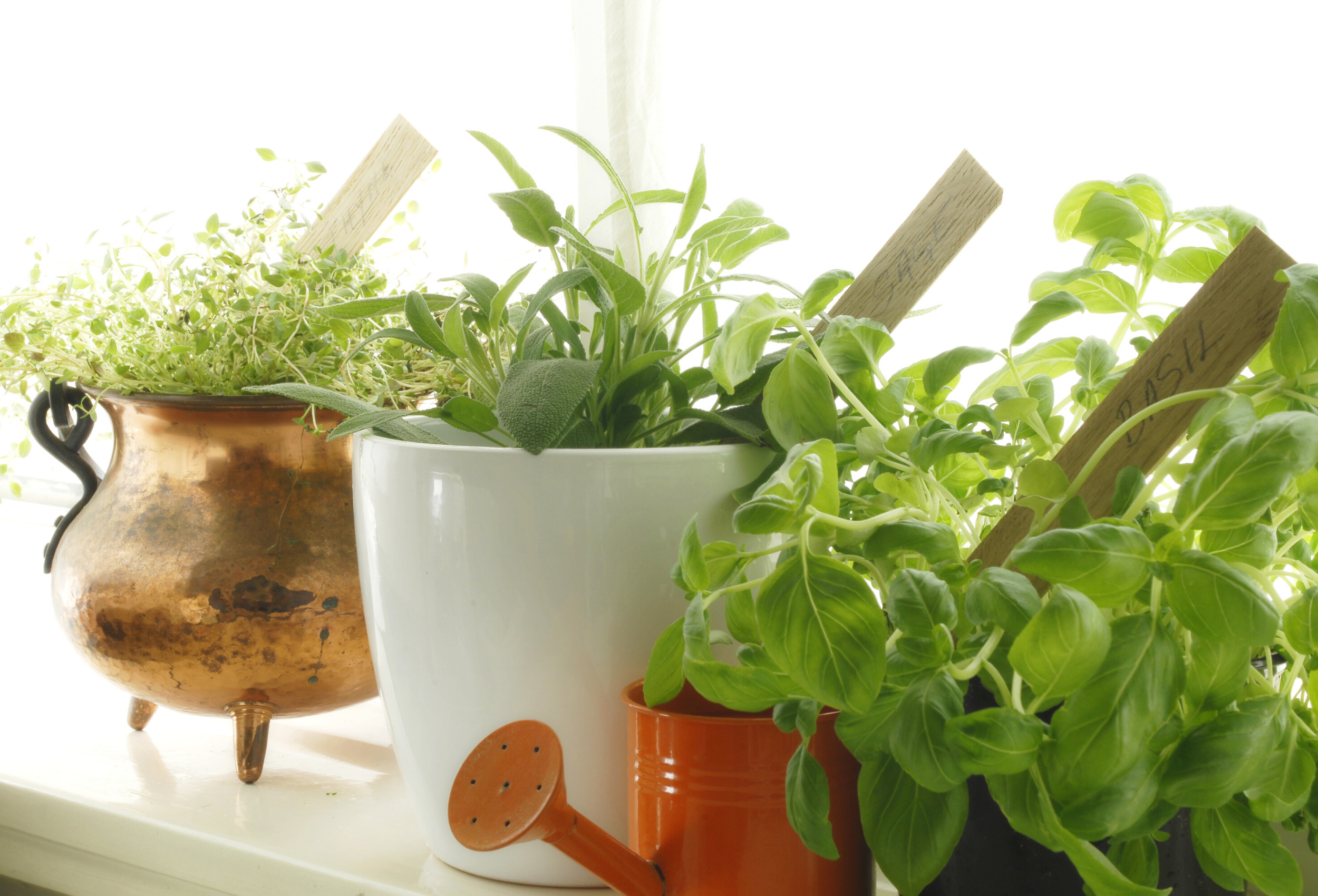 Spring into Action: Freshen Up Your Kitchen With a Little Green Stuff | Eastbrook Homes